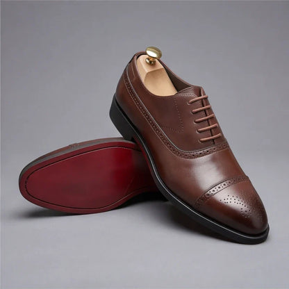Milano Signature Oxfords